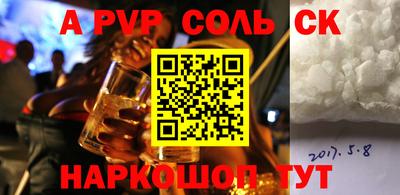 бошки Кингисепп