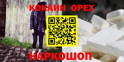 бошки Кингисепп