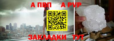бошки Кингисепп