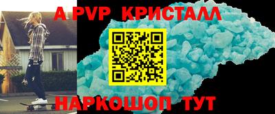 бошки Кингисепп