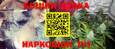 бошки Кингисепп