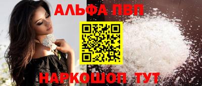бошки Кингисепп
