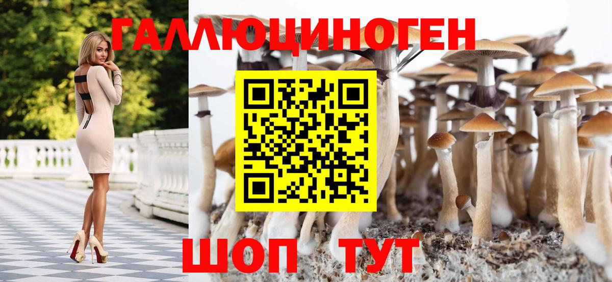 Псилоцибиновые грибы Psilocybe Егорьевск